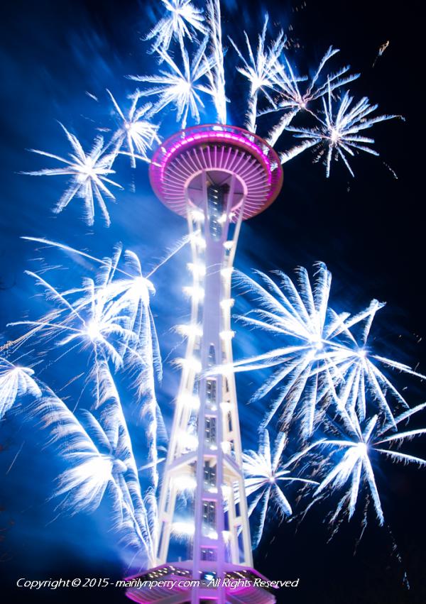 fireworks-2015-01-01-001-0028